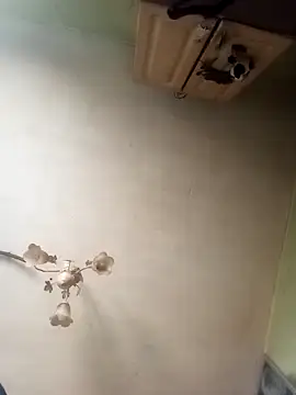 ToughDraft14 online show from April 23, 7:13 am