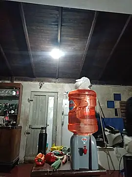 juanpa8453 online show from July 23, 6:43 am