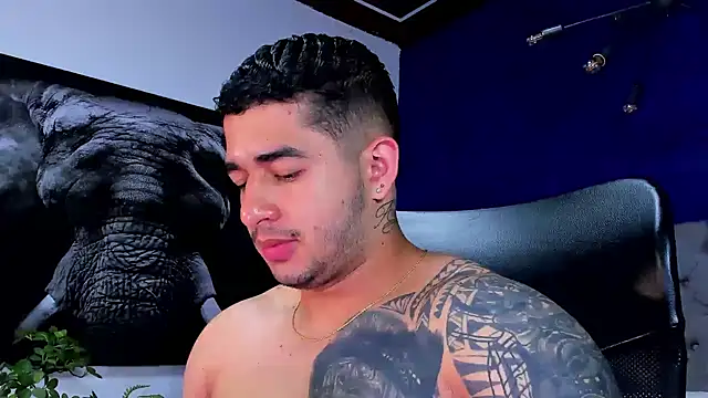 king falconer online show from January 14, 2:16 am