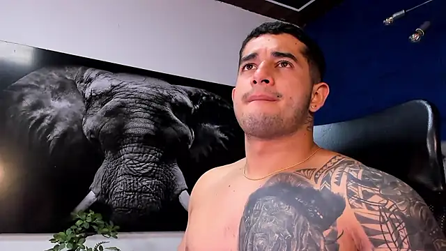 king falconer online show from January 13, 12:59 am