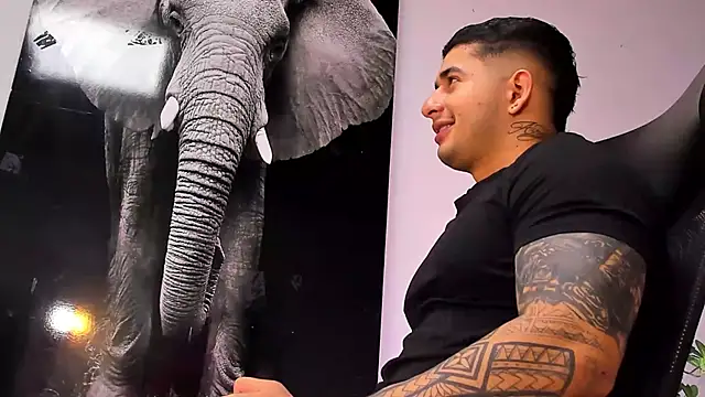 king falconer online show from October 28, 3:09 am