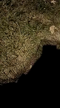 jvdzj-0  online show from October 18, 10:26 pm