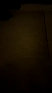 jvdzj-0  online show from October 12, 12:59 am