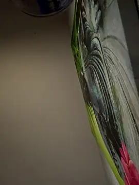 aavrdvh33 online show from December 4, 6:37 pm