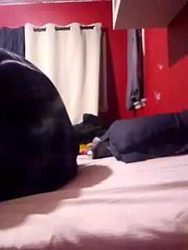 Cnutt310 online show from October 9, 11:48 am