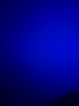  Forest Boy  online show from November 16, 4:14 am