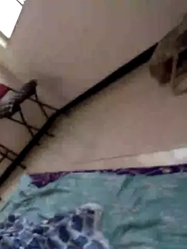 shreyas79 online show from October 8, 1:54 am