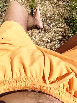 idhem   31 online show from April 26, 1:30 pm