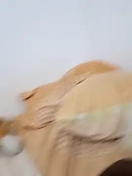 Snapshot of Blackpanther0115 chatting on October 3, 10:31 am Blackpanther0115 online show from October 3, 10:31 am