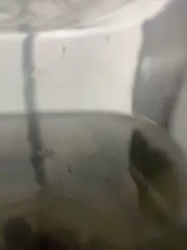 Can0601 online show from November 1, 11:14 am