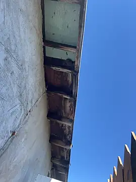 Shankortiz online show from February 27, 5:56 pm