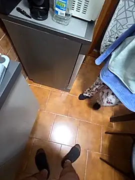 coppiaoraleee online show from November 20, 1:05 am