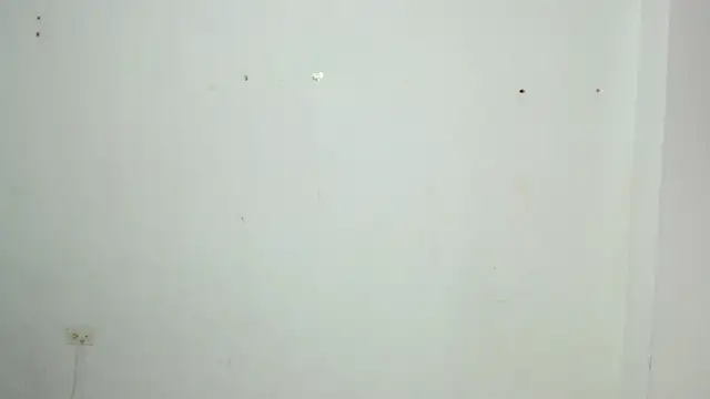 Alex mojica online show from January 7, 6:18 am