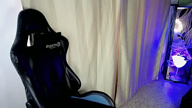 Stein  online show from October 27, 2:30 pm