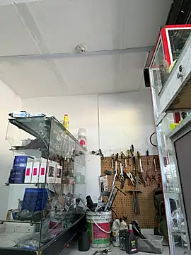 Terra-22cm online show from April 22, 1:49 pm