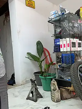 Terra-22cm online show from April 19, 6:10 pm