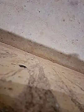 Negodabenga online show from December 14, 12:28 am