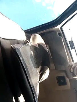 N i k o l a u online show from April 22, 2:00 pm