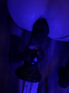 BottomCamp online show from February 3, 12:41 am