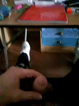 skatrip online show from November 6, 4:21 pm