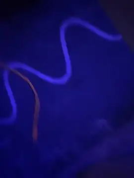 keraviian online show from April 28, 9:25 am