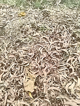 hotboy43339 online show from April 25, 5:54 am