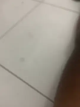 novin21rj online show from April 7, 12:54 am