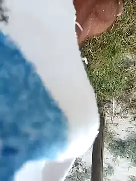 pegaso369 online show from September 23, 1:21 pm