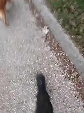 Axelitoc online show from March 5, 6:09 am