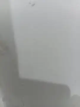 ceyloanboy online show from June 8, 1:28 am