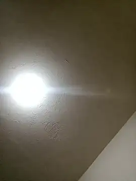 ElBufalo4l online show from September 29, 3:38 am