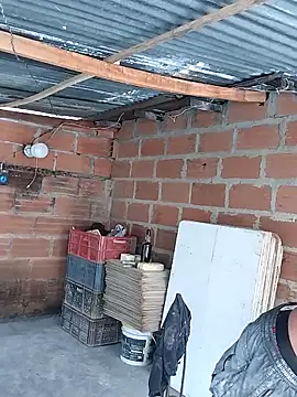 hoteder online show from November 28, 4:09 pm