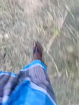 dolphiinn online show from April 23, 12:40 pm