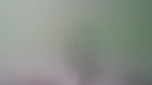 Dia Ria online show from October 18, 11:59 am