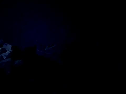 GeilerHSVFAN1989 online show from October 17, 12:58 am