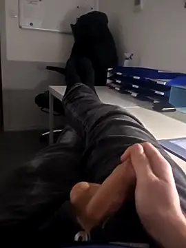 stunning stallion online show from February 2, 9:56 pm