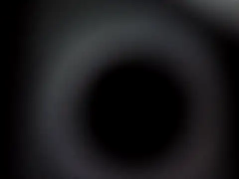 Ricotta1 online show from December 21, 12:02 pm