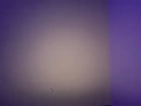 LustyDuoSecrets online show from November 11, 6:24 pm