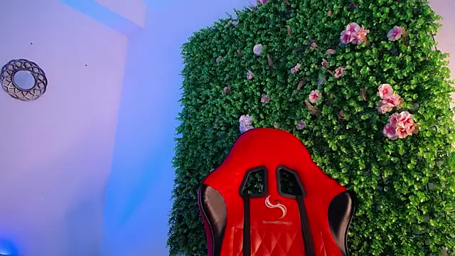 Anhonymus  online show from November 13, 4:28 am