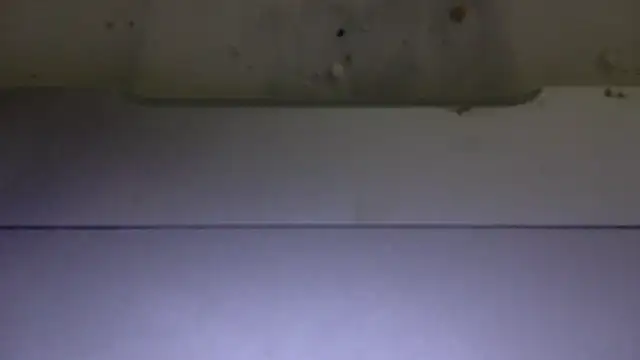 edger4lif3 online show from November 15, 5:15 pm