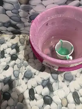 Chaitu-teluguhot online show from October 4, 8:57 pm