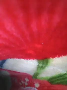 Chanderi19 online show from April 23, 11:40 pm