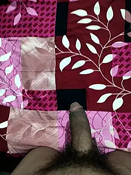 bold guy 1234 online show from October 22, 9:07 pm