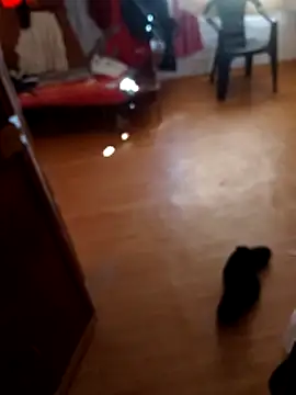 Dropepe1995 online show from October 25, 6:53 pm