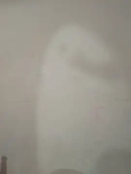 auriloko88 online show from November 9, 6:56 pm