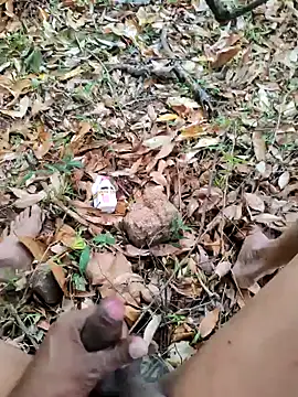 DICKLANKA online show from October 11, 7:23 am