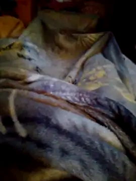 SALCEDO 041198 online show from November 22, 11:43 am