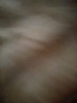 Lvn20038 online show from September 26, 10:24 am