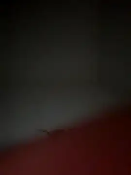 lekkerepik1111 online show from November 10, 5:23 am