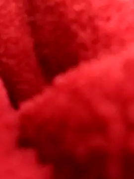 ProXydelhi online show from February 7, 11:21 pm